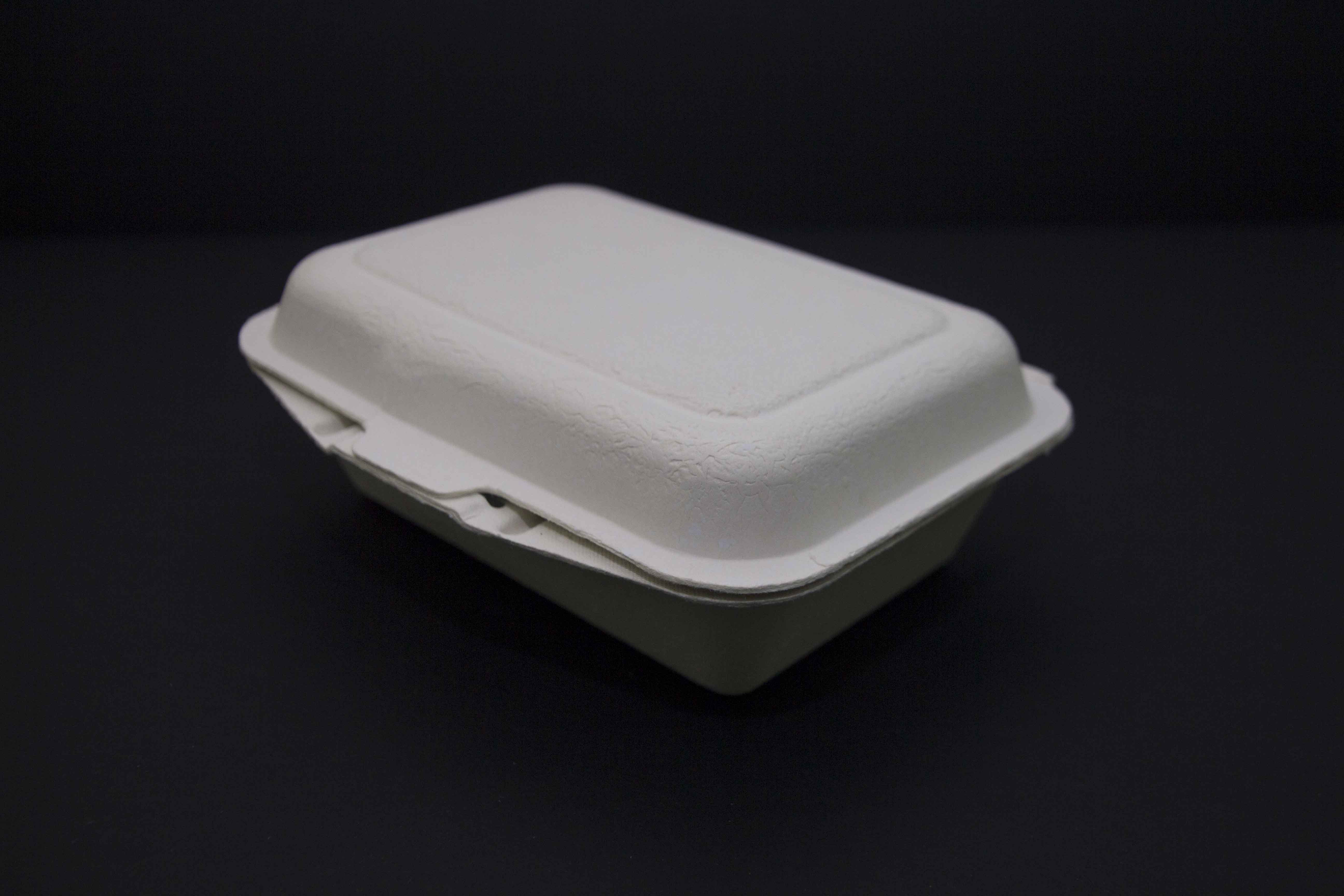 Biodegradable Lunchbox