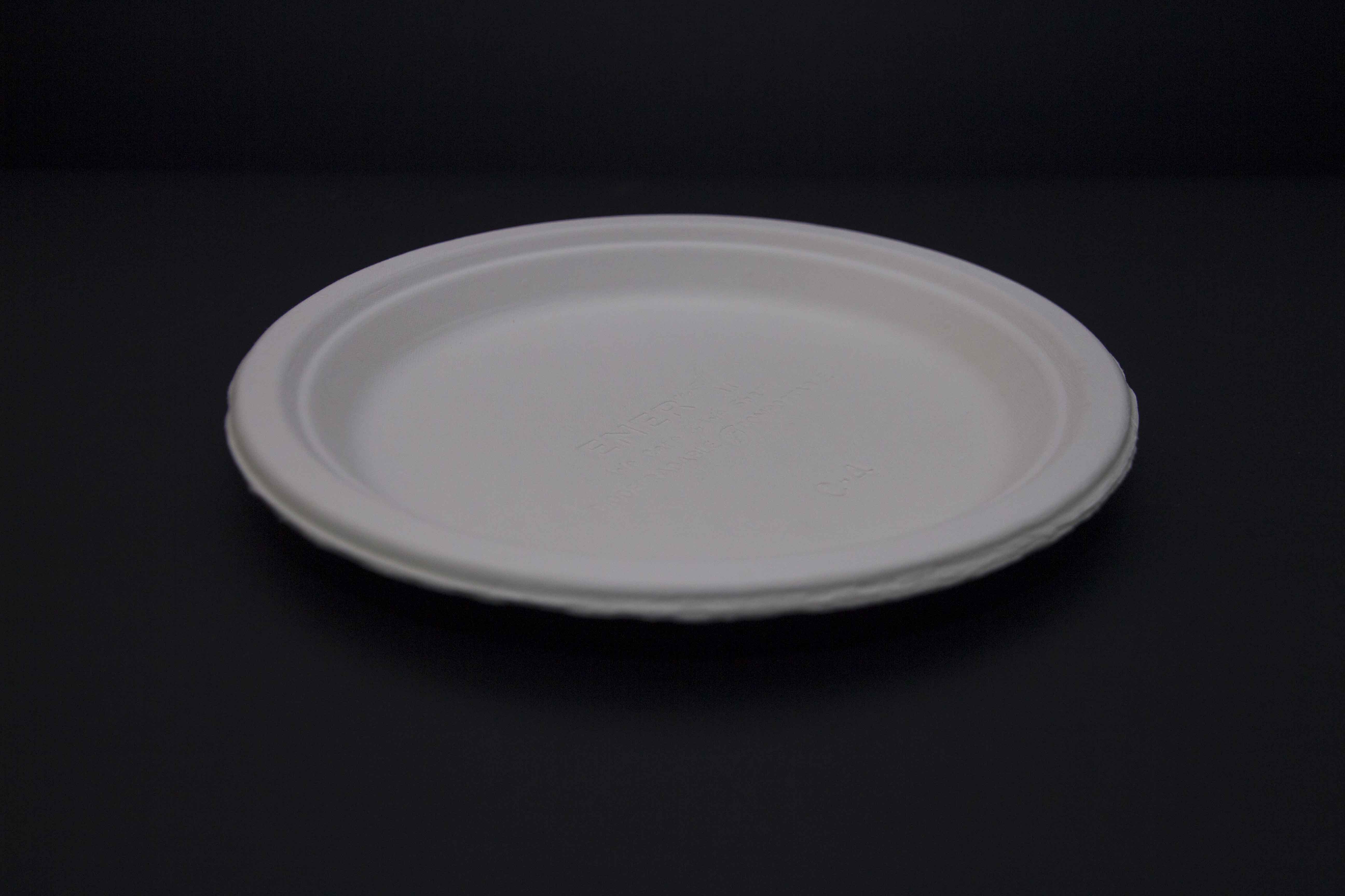 Biodegradable 9 & 12-inch Plate